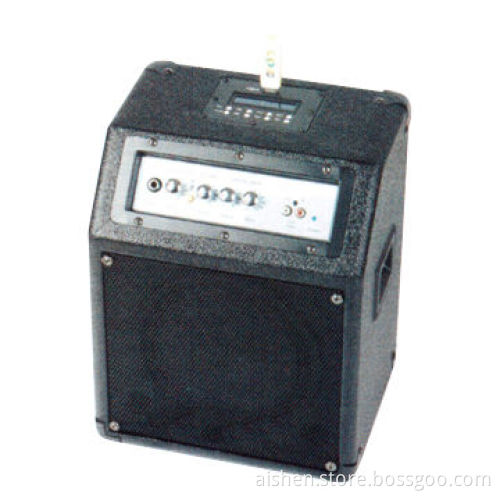 Guitar Amplifiers, 30W Output Power